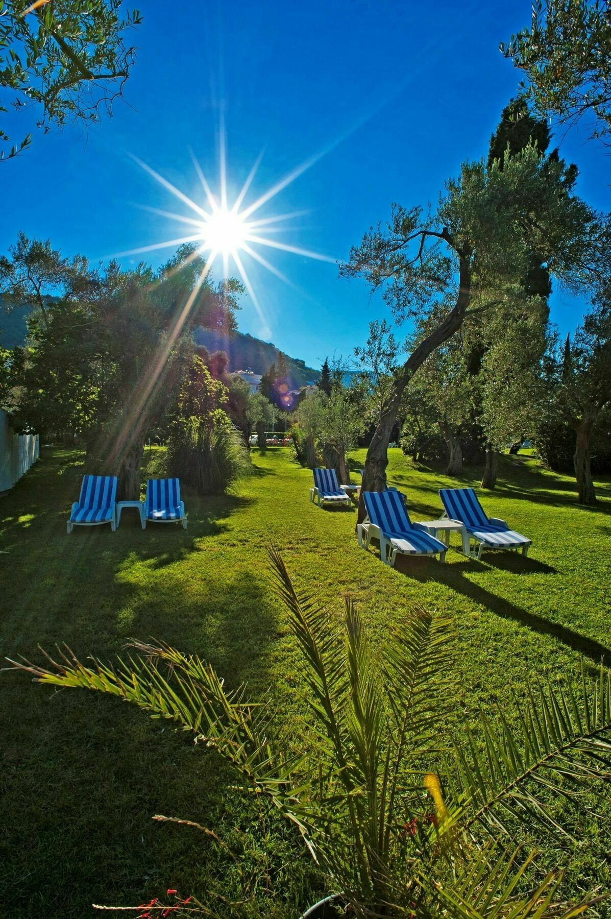 Hotel Rivijera Petrovac Eksteriør bilde